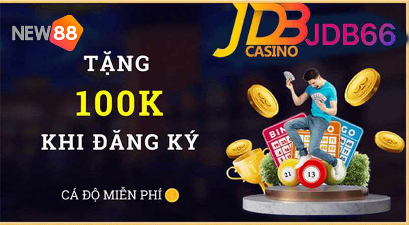 Đấu gà trực tuyến 8Kbet HD - 8Kbet