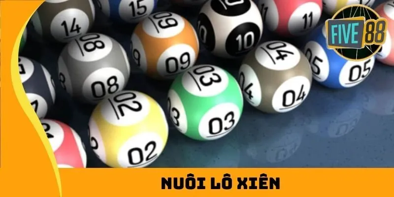 Zm88 cung cấp nhiều phương thức giao dịch nhanh chóng - Zm88