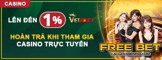 Nên chọn hạng 24N hay 24N thì an toàn hơn? - 24N