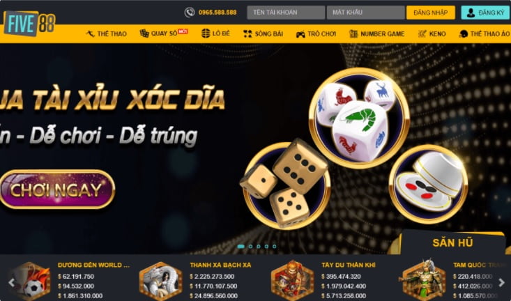 Win58 và Chính sách của Tổ chức - Win58