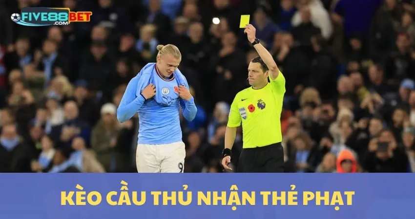 Nền tảng Thomo Fighting Cock được xếp hạng Bwin hiện đang có uy tín tốt và chất lượng vượt trội - Bwin