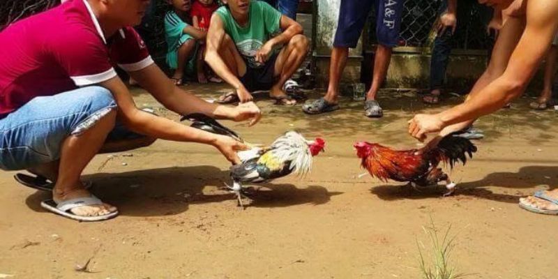 Các hoạt động khuyến mãi phổ biến nhất của nền tảng 58Win - 58Win