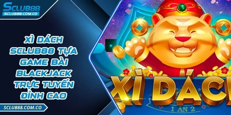 Xếp hạng K8cc, mức cao nhất trong lĩnh vực vận động hành lang thể thao - K8cc