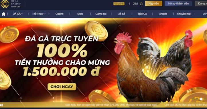 Hãy nhấp vào liên kết 888B để tìm hiểu về một số sản phẩm nổi bật của chúng tôi - 888B