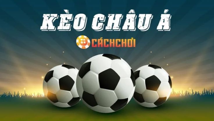 Jdb66 3D và đội ngũ đại lý xuất sắc - Jdb66