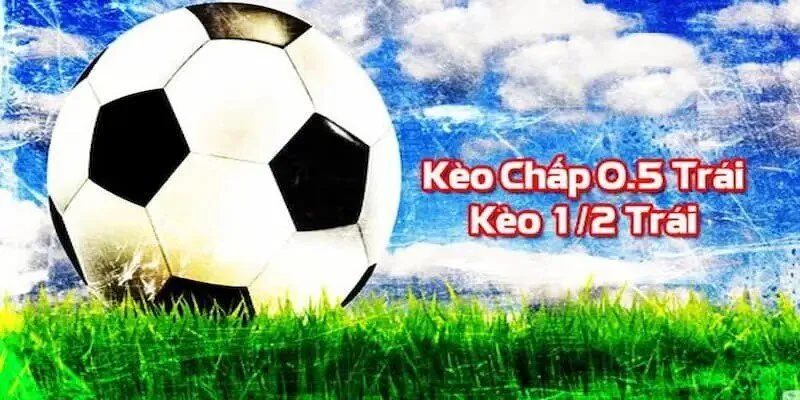 Có cơ hội thăng tiến lên cấp độ Betvisa - Betvisa