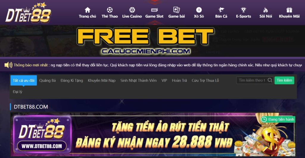 Gói thành viên 24N bao gồm vé tham dự tất cả các trại huấn luyện - 24N