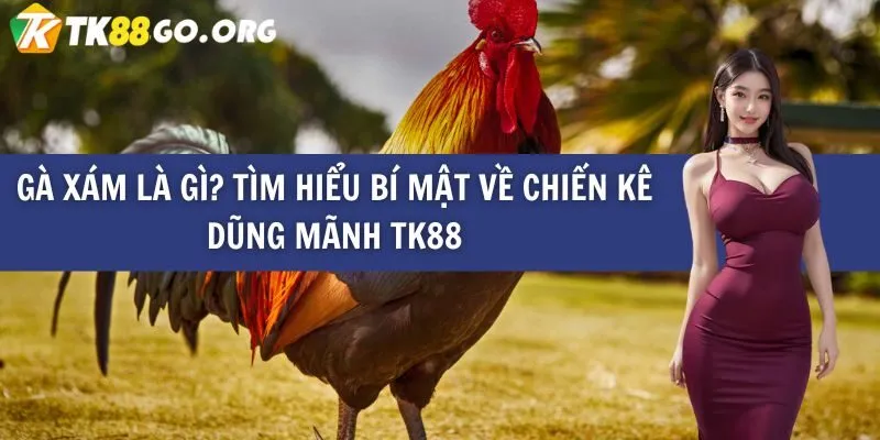 Tìm hiểu thêm về thương hiệu Fb68 - Fb68