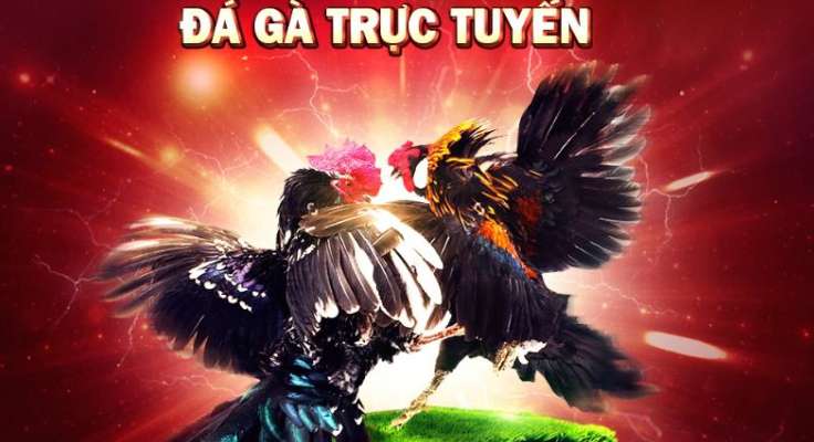Điều gì khiến Pkwin khác biệt so với các thương hiệu khác? - Pkwin