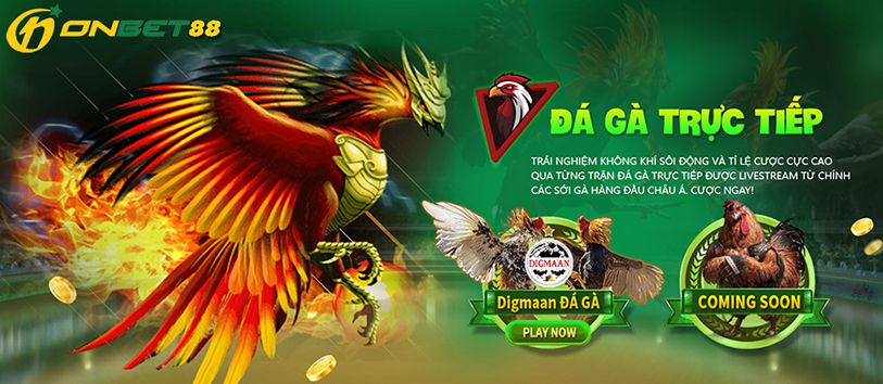 Khách hàng tham gia khảo sát thường xuyên hỏi về xếp hạng 69Vn - 69Vn