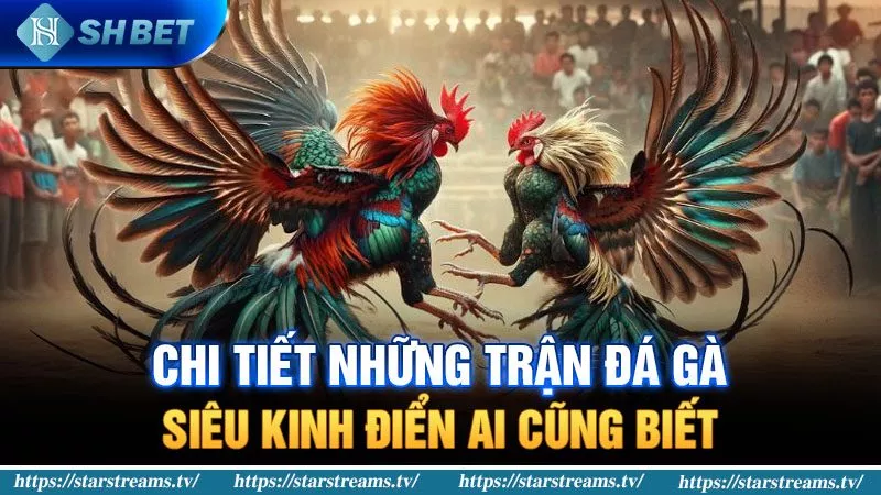 Hi88, thiên đường dành cho các cổng game thực tế - Hi88